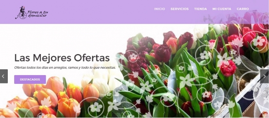 flores